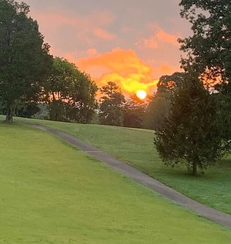 Course greens with the sunset sinking behind the trees 